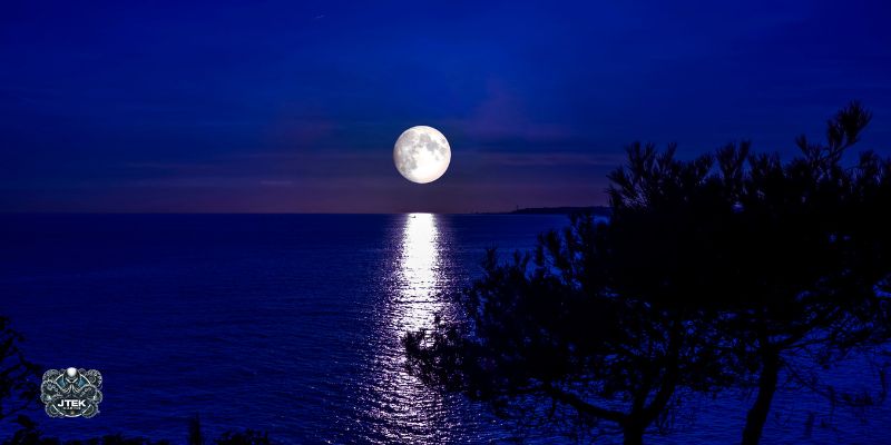 Fishing by Moonlight